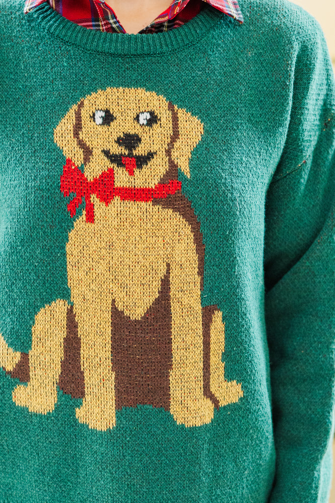 Home For The Holidays Emerald Golden Retriever Sweater – Shop the Mint