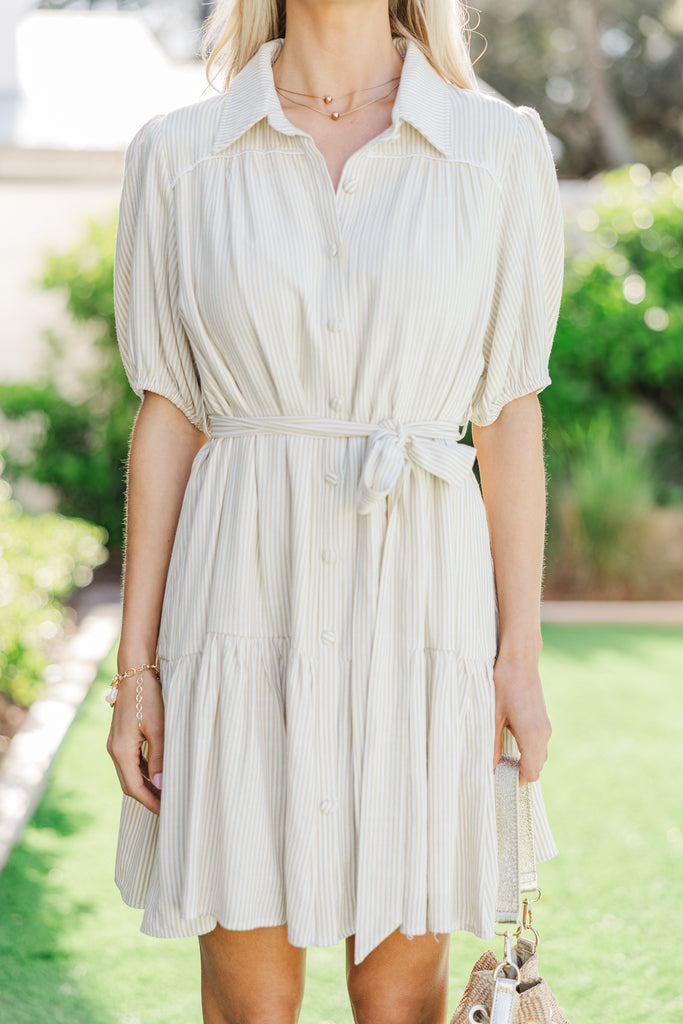 Wells Dress in Taupe Embroidery