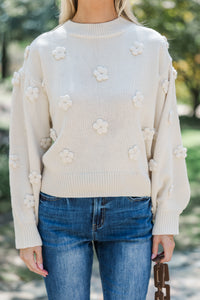 In Your Dream Cream Floral Embroidered Sweater