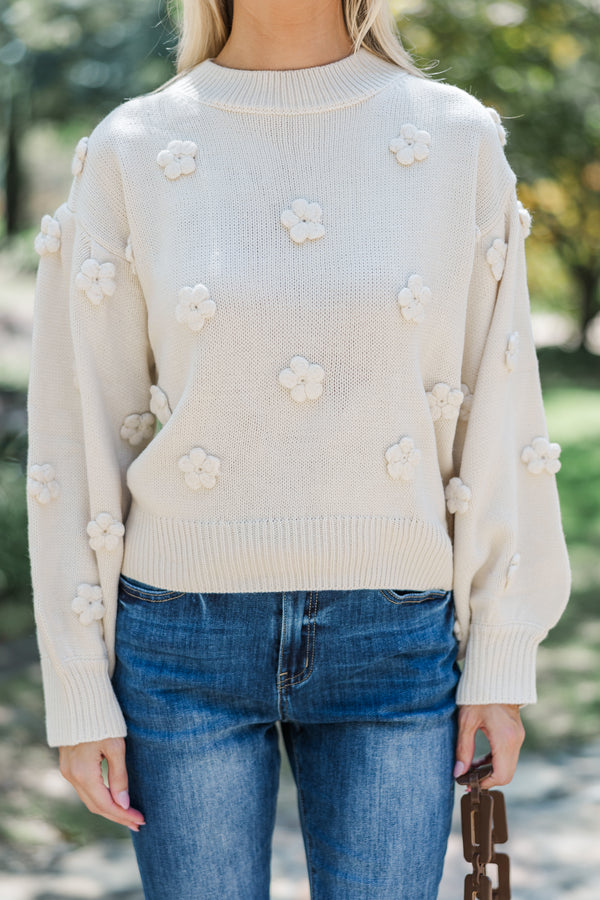 In Your Dream Cream Floral Embroidered Sweater