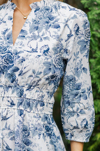 It's All Alright Navy Toile Dress