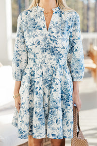 It's All Alright Navy Toile Dress