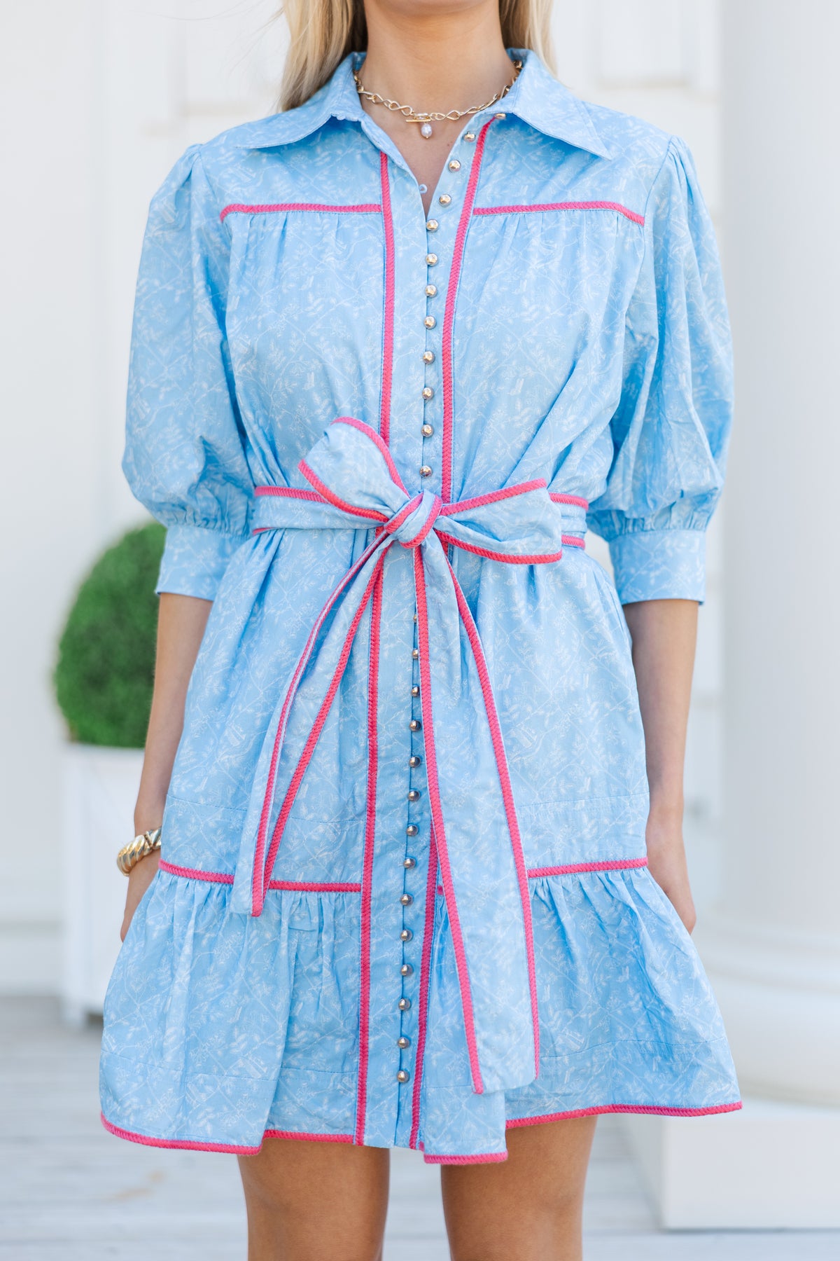 Gather Round Light Blue Toile Dress – Shop the Mint