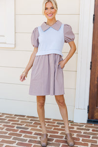 Softly Spoken Brown Sweater Vest Dress