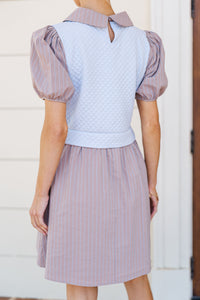 Softly Spoken Brown Sweater Vest Dress