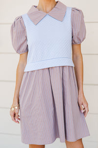 Softly Spoken Brown Sweater Vest Dress