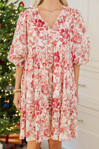 NURSING COLLECTION: It's All True Red Toile Dress