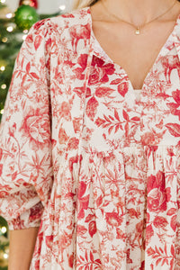 NURSING COLLECTION: It's All True Red Toile Dress