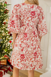NURSING COLLECTION: It's All True Red Toile Dress