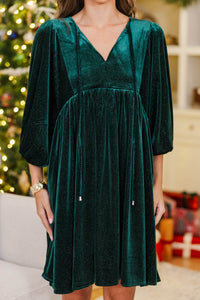NURSING COLLECTION: It's All True Emerald Velvet Dress