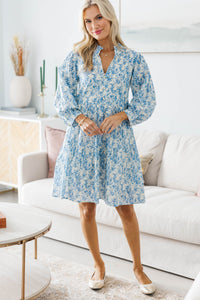 NURSING COLLECTION: A Timeless Love Blue Toile Babydoll Dress