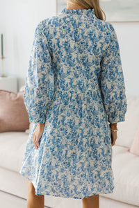 NURSING COLLECTION: A Timeless Love Blue Toile Babydoll Dress