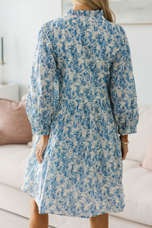 NURSING COLLECTION: A Timeless Love Blue Toile Babydoll Dress
