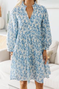 NURSING COLLECTION: A Timeless Love Blue Toile Babydoll Dress
