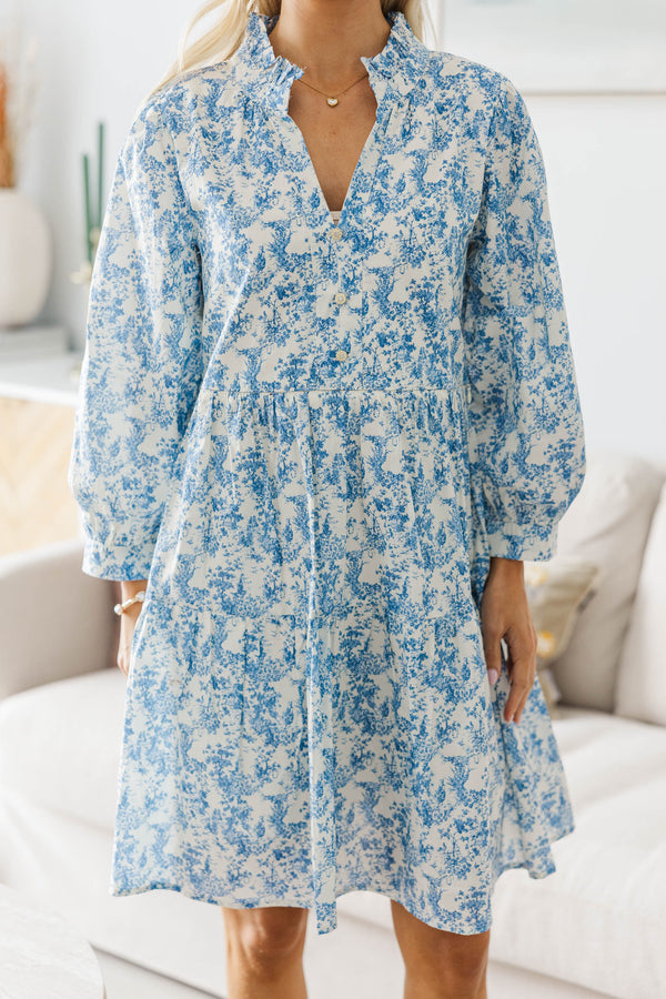 NURSING COLLECTION: A Timeless Love Blue Toile Babydoll Dress