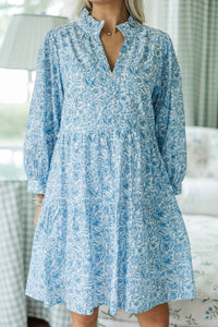 NURSING COLLECTION: A Timeless Love Blue Toile Dress