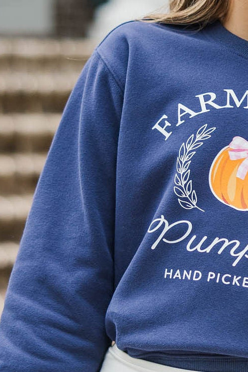 Girls: Farm Fresh Pumpkins Navy Graphic Sweatshirt