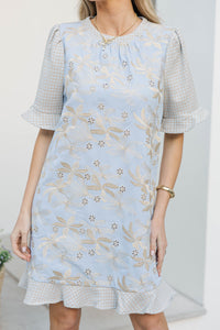 Frosted Petals Light Blue Embroidered Dress
