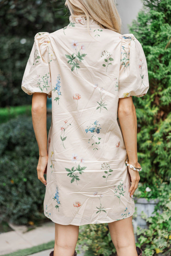 apricot cream dress Aella Long Dress in Apricot Cream LabelRow