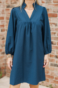 Above And Beyond Navy Shift Dress