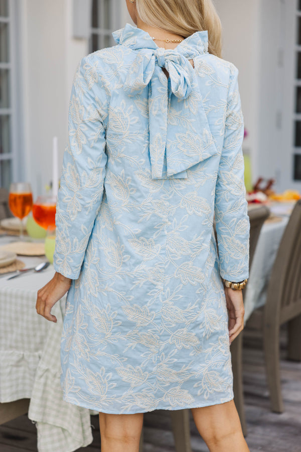 This Is It Light Blue Embroidered Swing Dress
