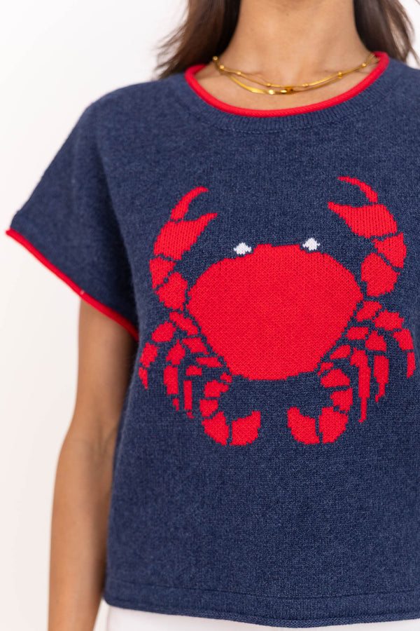 Daily Edit Navy Crab Sweater