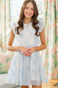 Girls: Happy Hearts Light Blue Embroidered Organza Dress