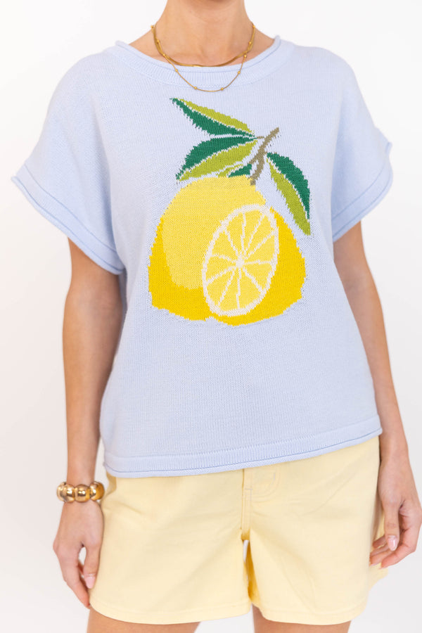 Just Enough Detail Light Blue Novelty Sweater