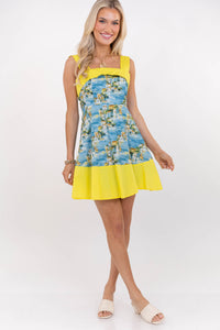 Counting The Days Blue Toile Dress