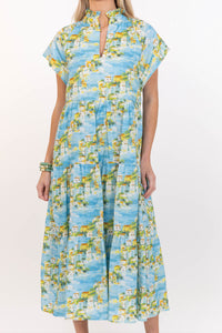 In Your Dreams Blue Toile Midi Dress