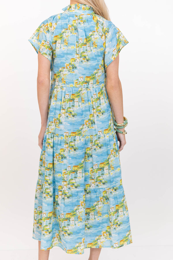 In Your Dreams Blue Toile Midi Dress