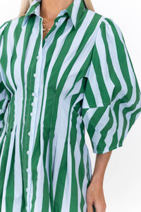 Grace In Motion Green Striped Dress