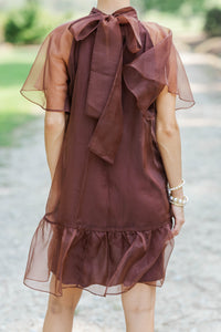 Layers Of Love Brown Organza Dress