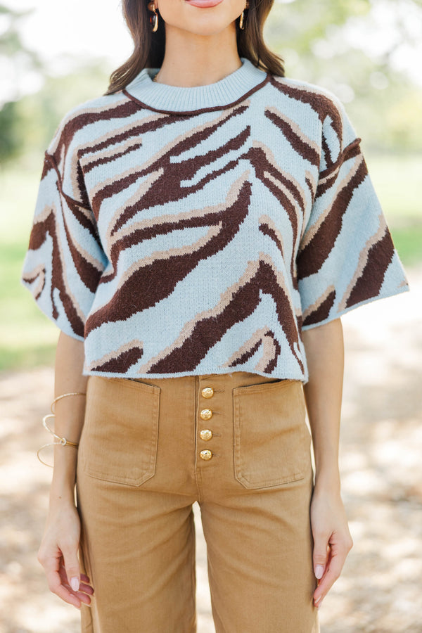 Looking Forward Light Blue Zebra Stripe Sweater