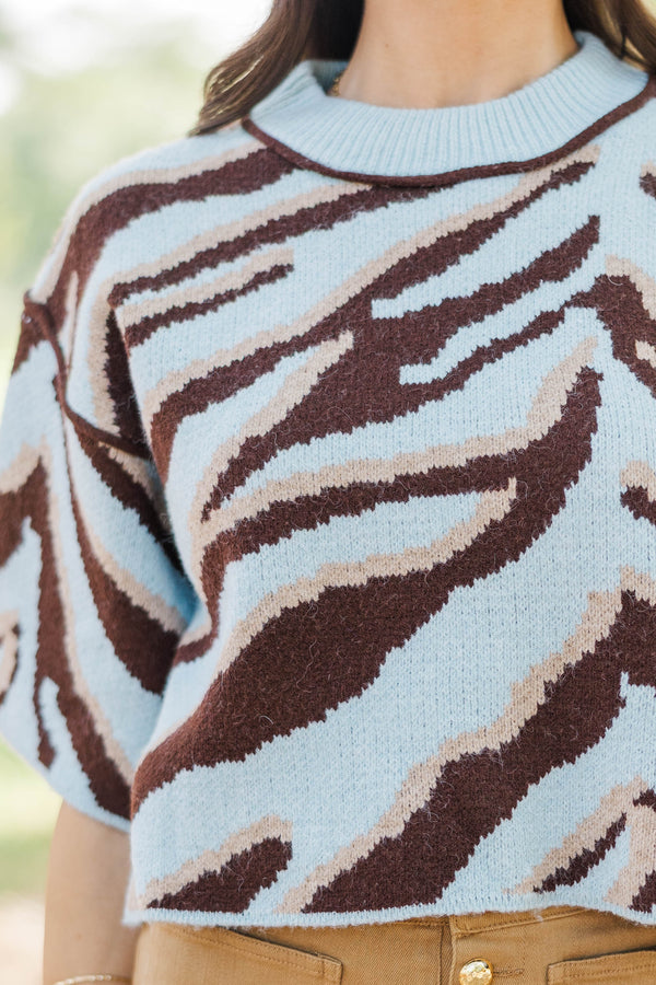 Looking Forward Light Blue Zebra Stripe Sweater