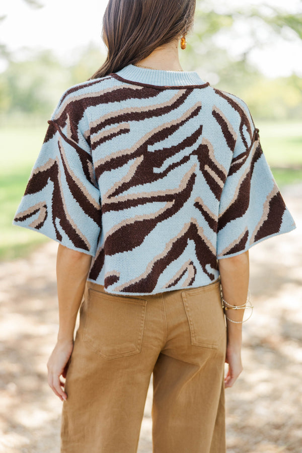 Looking Forward Light Blue Zebra Stripe Sweater
