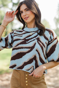 Looking Forward Light Blue Zebra Stripe Sweater