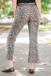 Just Black Denim: Nothing Ordinary Brown Leopard Jeans