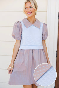 Softly Spoken Brown Sweater Vest Dress