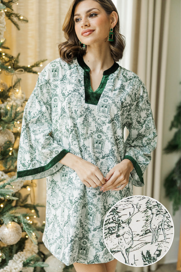 All Your Wishes Green Toile Dress