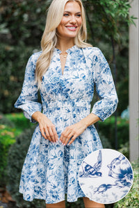 It's All Alright Navy Toile Dress