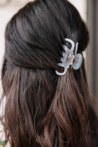 gray hair clip