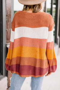 brown colorblock sweater