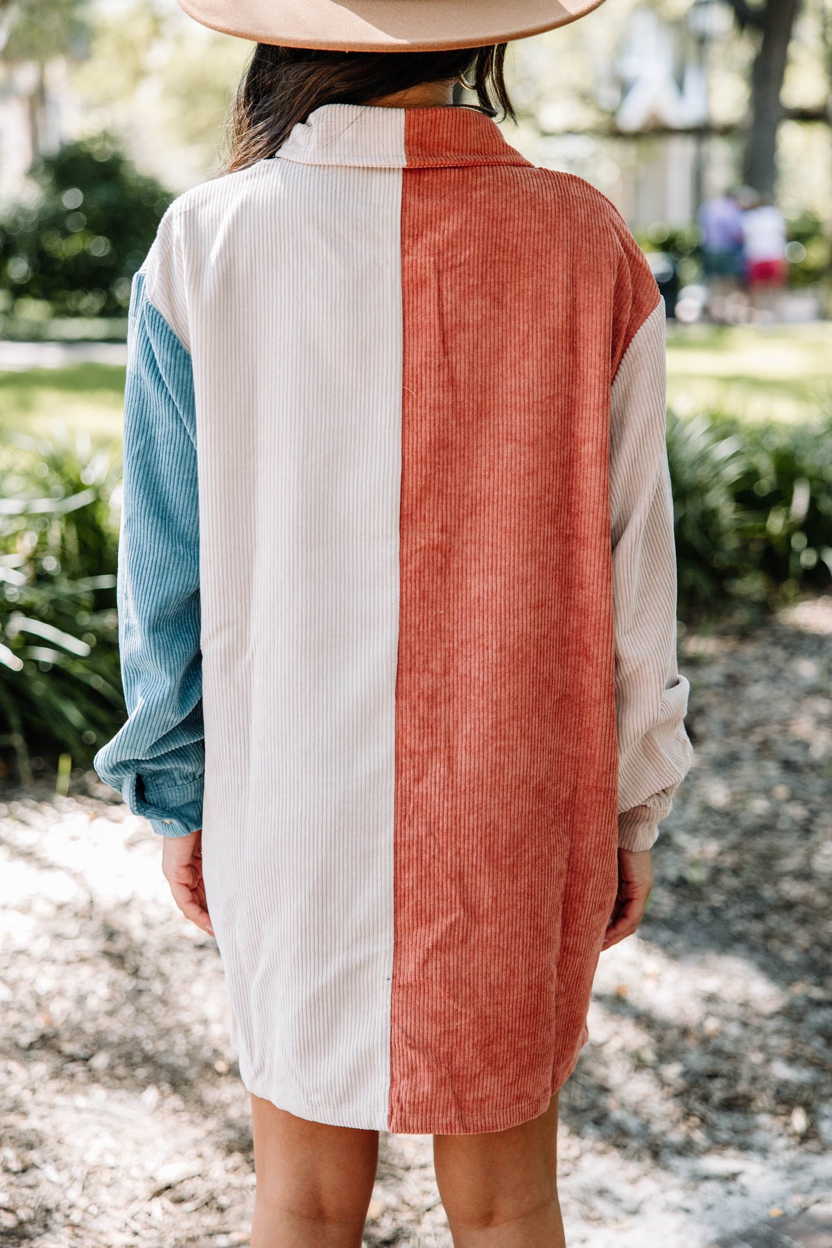 Tell Me Everything Rust Brown Colorblock Dress – Shop the Mint