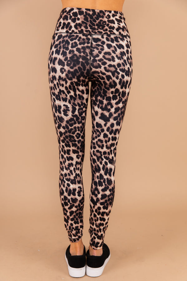 brown leopard leggings, leopard print, leggings, waistband, bold, workout, casual