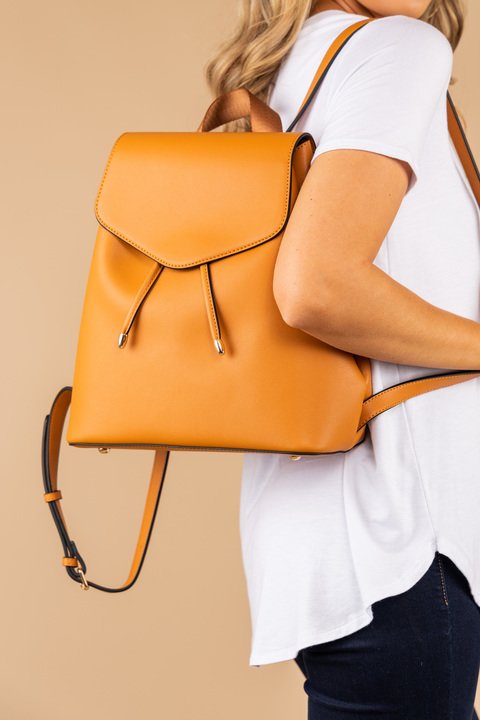 Take The Risk Tan Brown Backpack